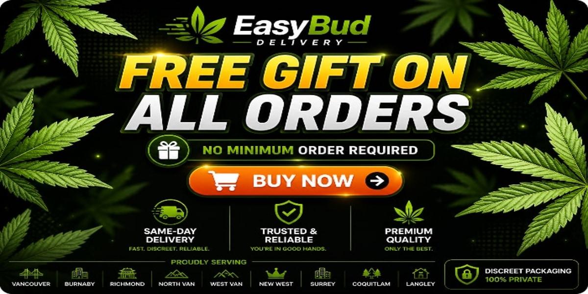 freegift_1200x600